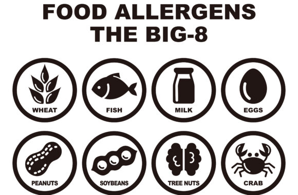 品目別輸送機関別貨物輸送量（2023年度）